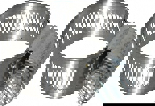 Worm Gear Clamp: SAE 12, 9/16 to 1-1/4